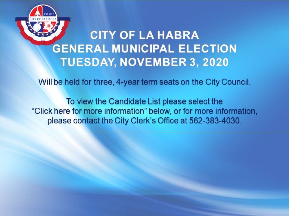 2020 Election Candidates Website Flash Notice