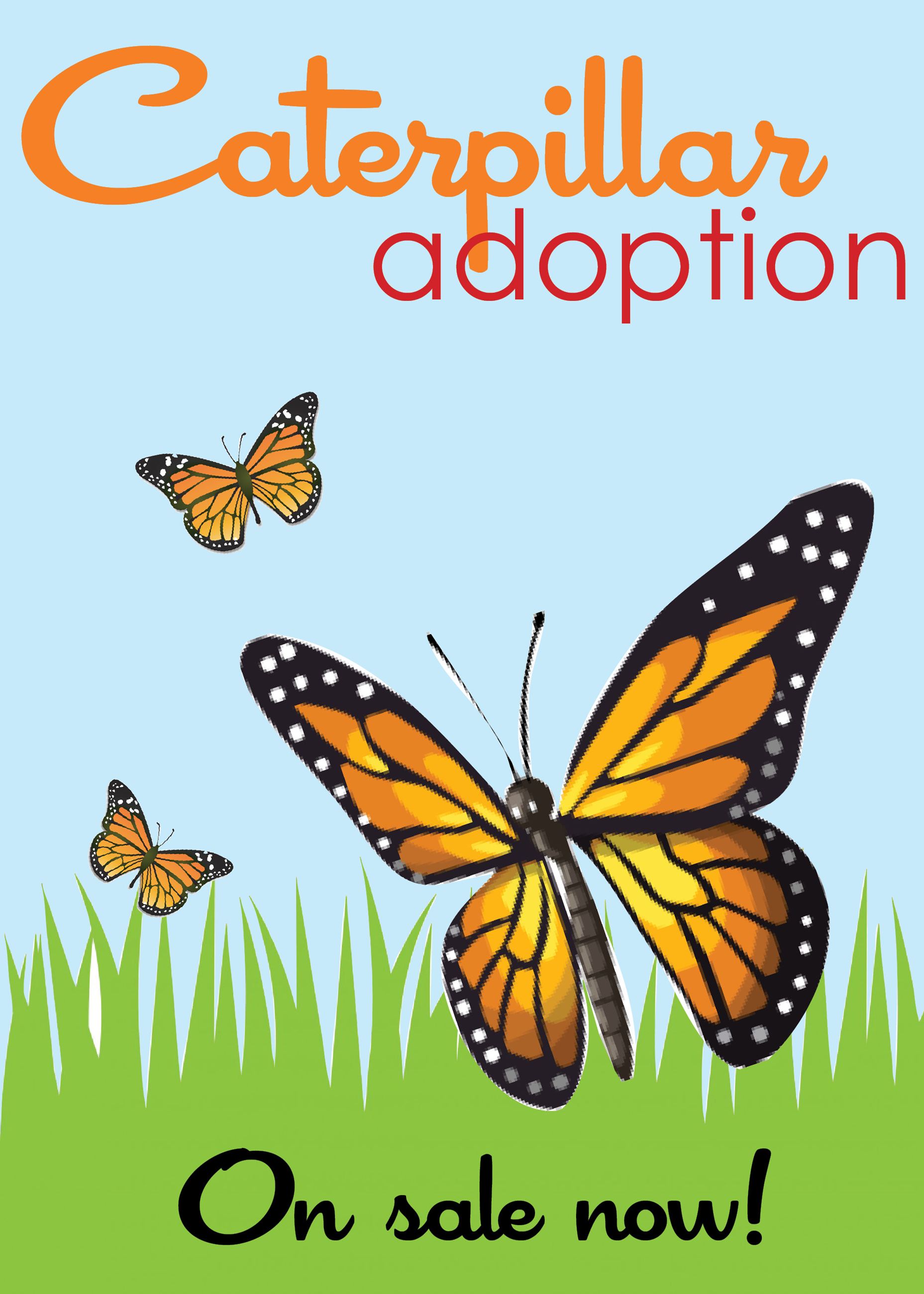 caterpillar adoptionon sale
